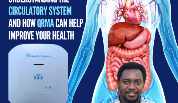 Understanding the Circulatory System and How QRMA Can Help Improve Your Health Understanding the Circulatory System and How QRMA Can Help Improve Your Health